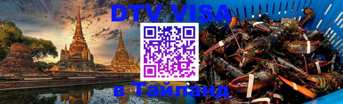Оформление DTV визы под ключ: стоимость и тарифы, только загранпаспорт - 21.11.2025 